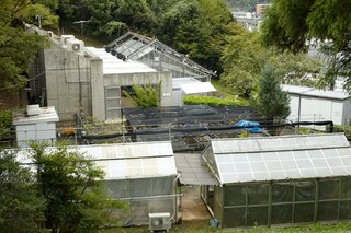 Greenhouse & Experimental Gardenイメージ