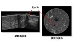 e-01 研究室ツアー・研究室公開 イメージ